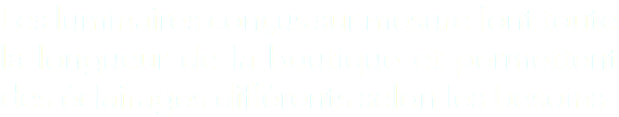 Les luminaires conçus sur mesure font toute la longueur de la boutique et permettent des éclairages différents selon les besoins 